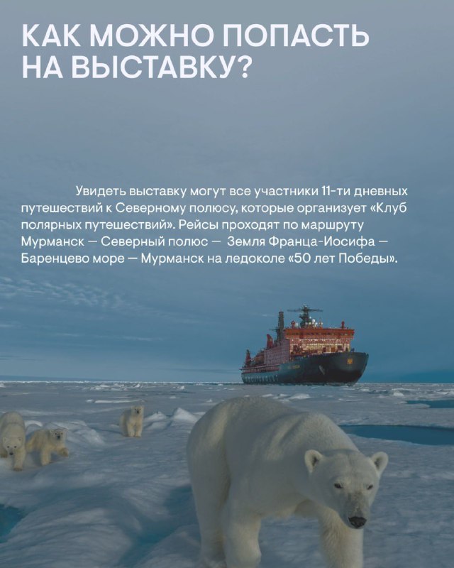Северный полюс и галерея Stargift: как атомный ледокол стал выставочным пространством и при чем тут экология… — фото 4